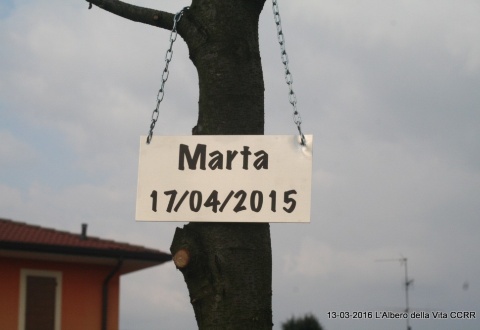 immagine Domenica 13 marzo 2016, Progetto L'ALBERO DELLA VITA