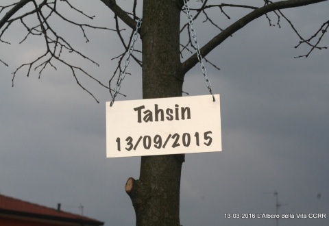immagine Domenica 13 marzo 2016, Progetto L'ALBERO DELLA VITA