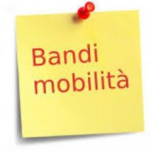 AVVISO DI MOBILITA’ ESTERNA EX ART. 30 D.LGS 165/2001, PER LA COPERTURA DI N. 1 POSTO DI ISTRUTTORE AMMINISTRATIVO-CONTABILE CATEGORIA GIURIDICA “C”, A TEMPO PIENO ED INDETERMINATO - AREA FINANZIARIA E TRIBUTARIA – SERVIZIO TRIBUTI.