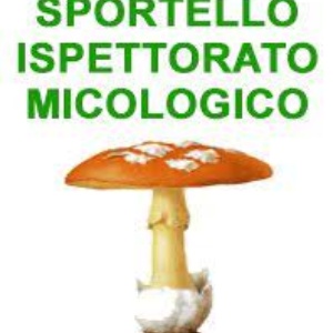 Ispettorato micologico – Servizio di certificazione gratuita per la commestibilità dei funghi epigei raccolti dai cittadini. Anno 2021