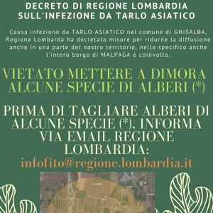 Tarlo asiatico: Decreto di Regione Lombardia