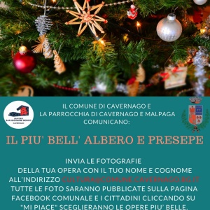 CONCORSO PRESEPE E ALBERO PIU' BELLO