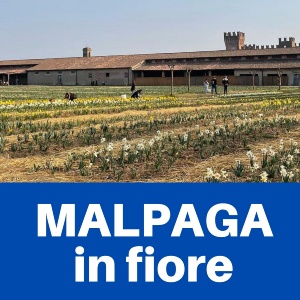 Malpaga in fiore