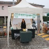immagine galleria