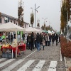 immagine galleria