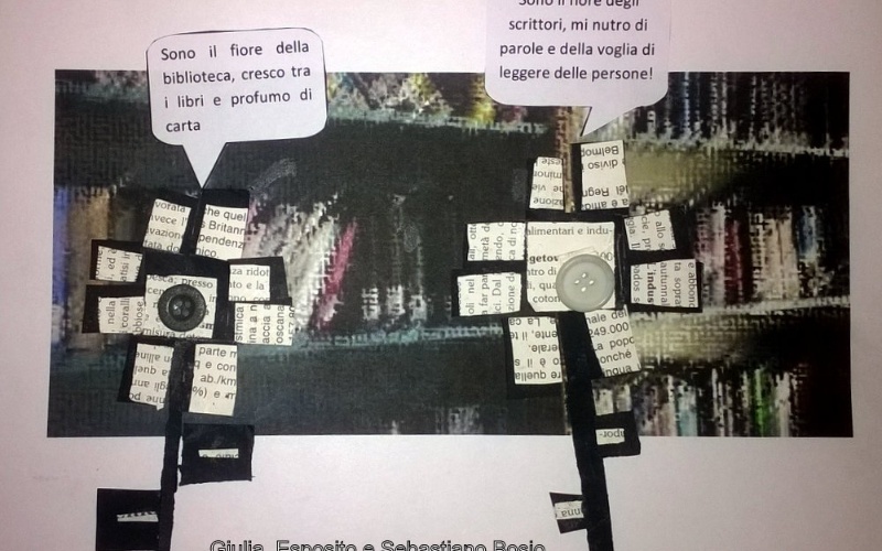 immagine galleria