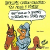 immagine galleria