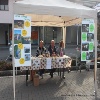 immagine galleria