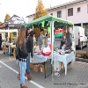 immagine galleria