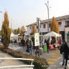immagine galleria