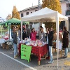 immagine galleria