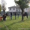 immagine galleria