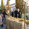 immagine galleria