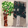 immagine galleria