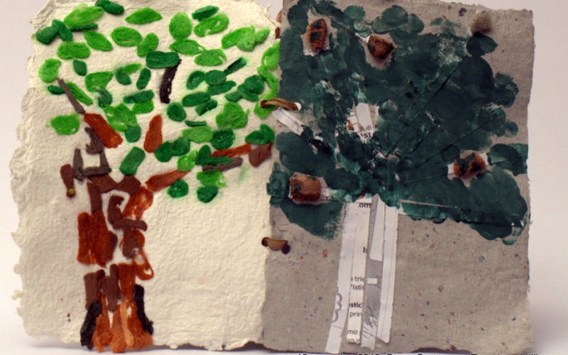 immagine galleria