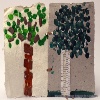 immagine galleria