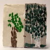 immagine galleria