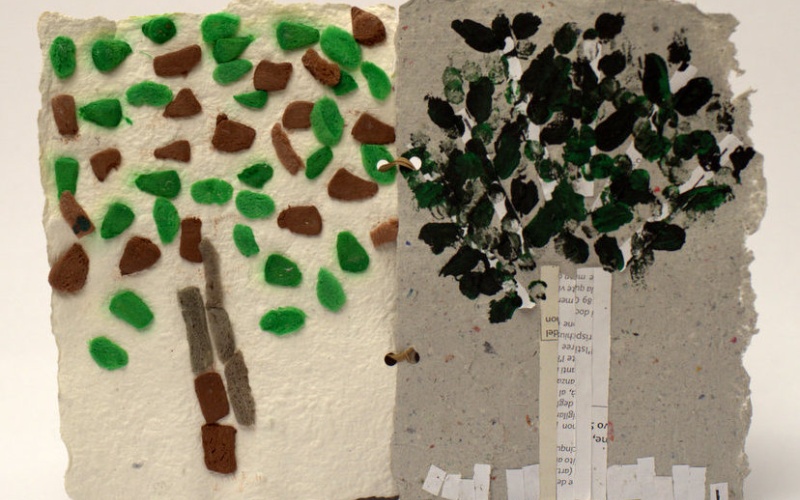 immagine galleria