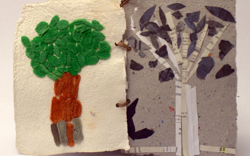 immagine galleria
