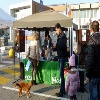 immagine galleria
