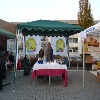immagine galleria