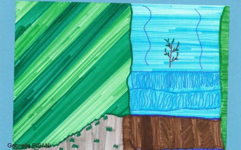 immagine galleria