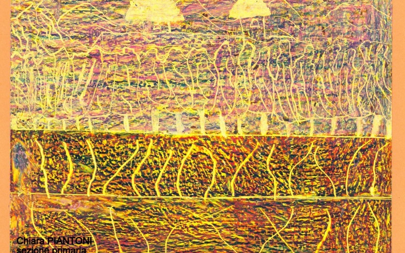 immagine galleria