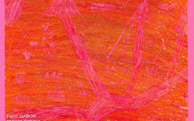 immagine galleria