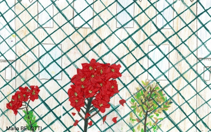 immagine galleria
