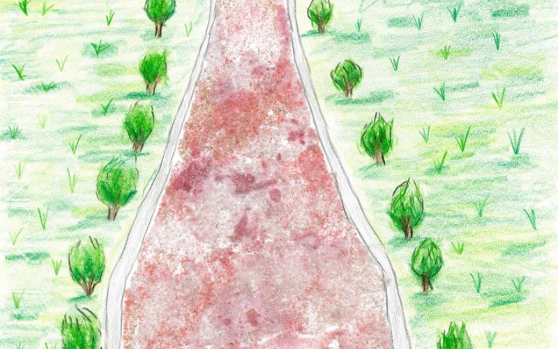 immagine galleria