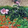 immagine galleria
