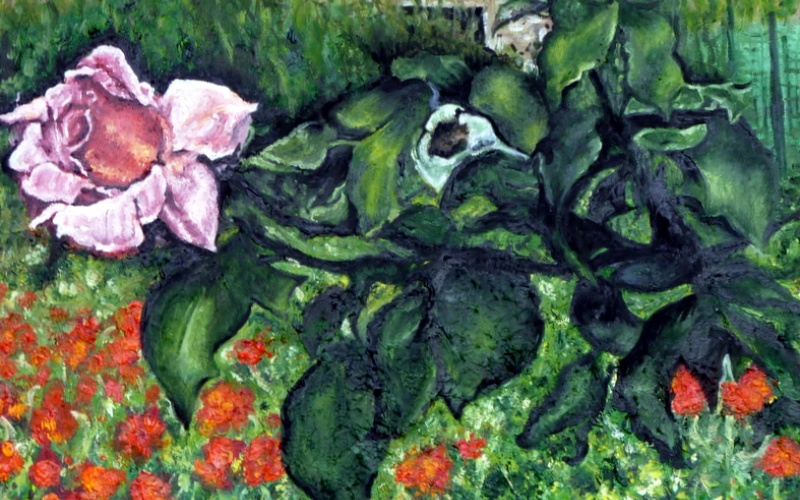 immagine galleria