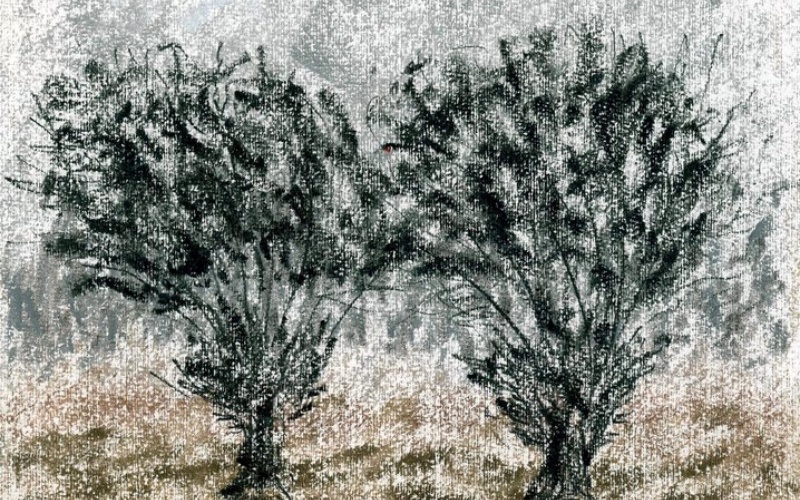 immagine galleria