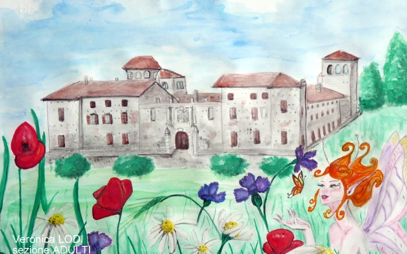 immagine galleria